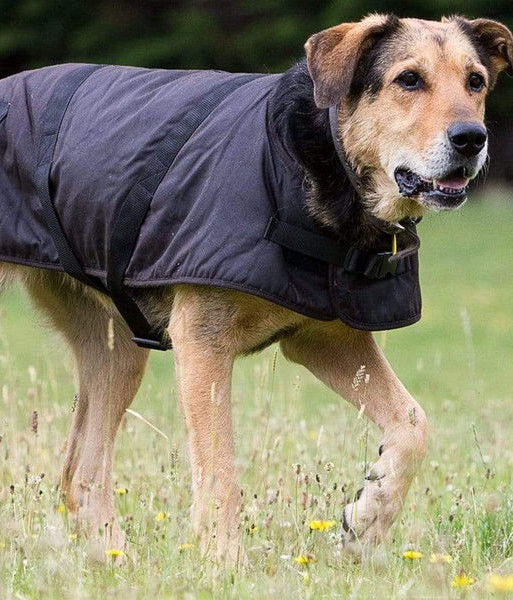 2892 Outback Clancy Oilskin Dog Coat, Sizes XS to 3XL