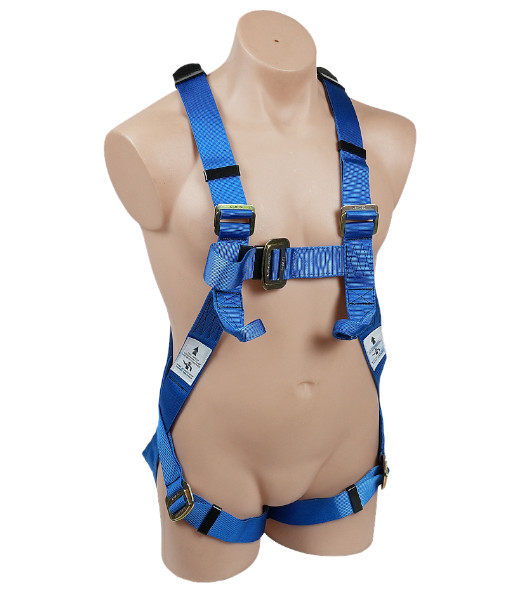 SBE2K Amtech Full Body Harness with Lower Chest Loops, Sizes M to 5XL